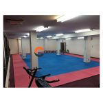 Plancha Tatami 2,5 CM X 1MT X 1MT - Imagen 2